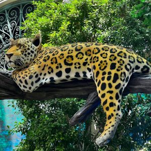 The Mirage House Cat