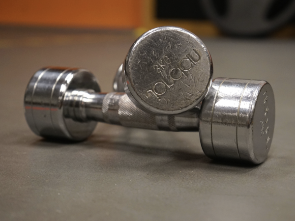 Exercise Weights